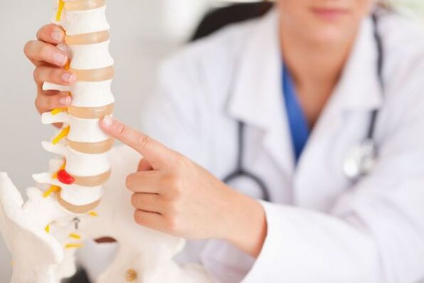 doctor demonstrates a model of the spine